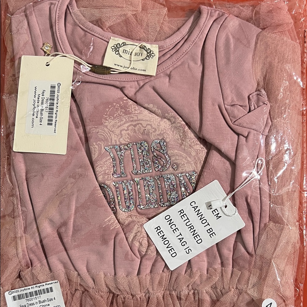 Mia Joy “Yes Queen” soft Pink Dress with Tooled skirt